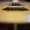366-346 - Bass