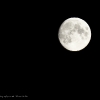 366-136 - Last Night\'s Moon