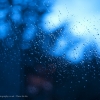 366-249 Rain #∞