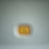 366-262 - Peep Hole