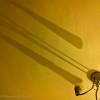 366-226 - Long Shadows