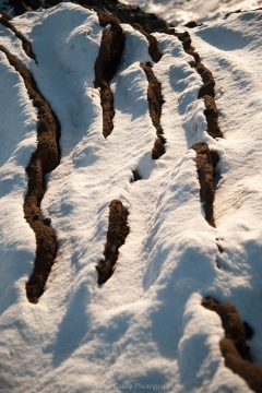 Veins of Rock