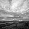 B&W Landscape -003